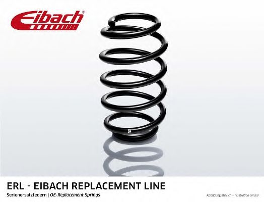EIBACH R10119