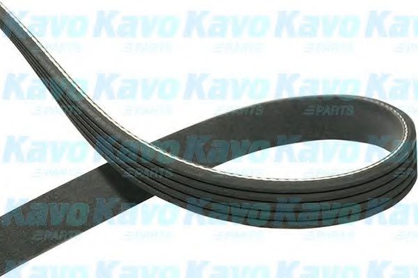 KAVO PARTS DMV-5507