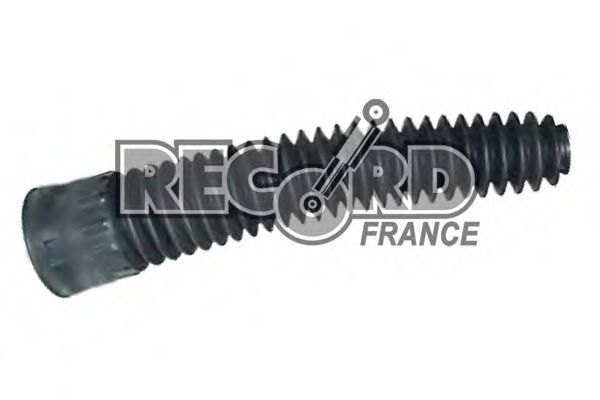 RECORD FRANCE 925291