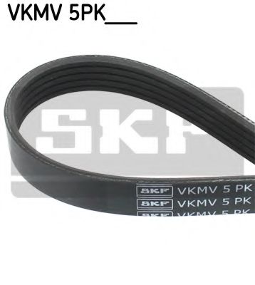 SKF VKMV 5PK1135
